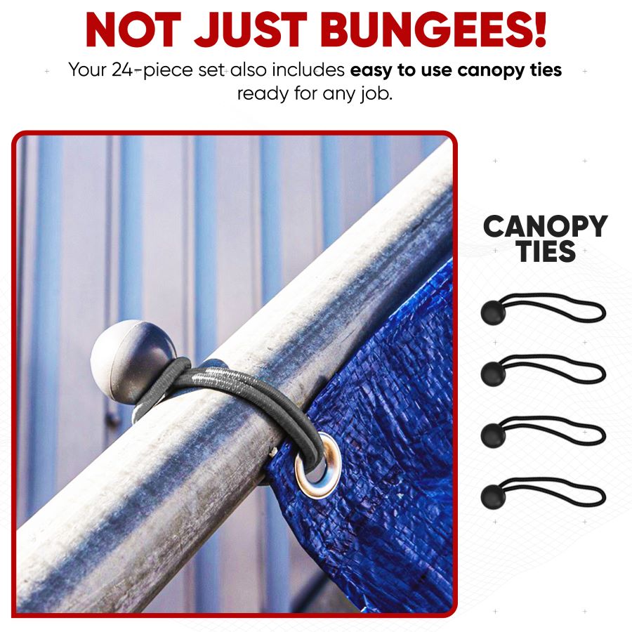 Bungee Cord 24 Pack