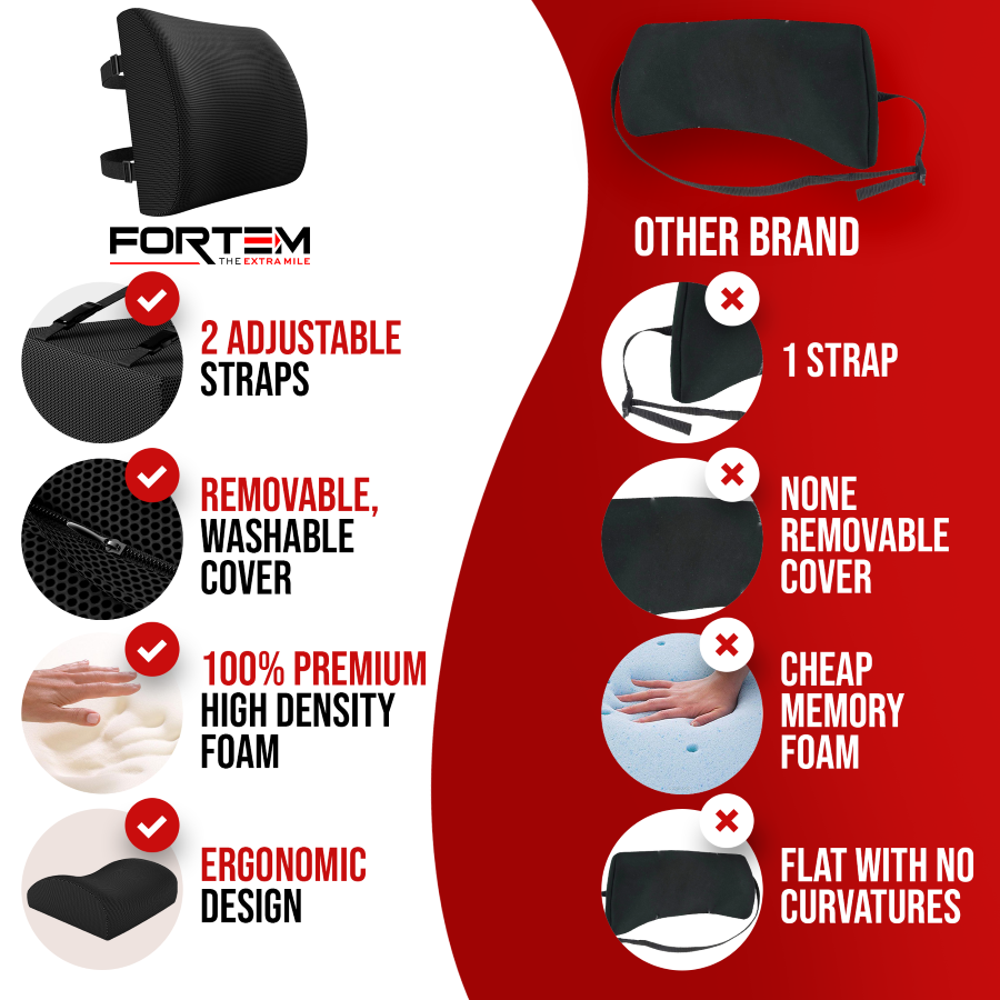 Lumbar Support - Breathable Mesh Cover
