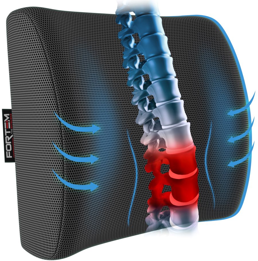 Lumbar Support - Breathable Mesh Cover