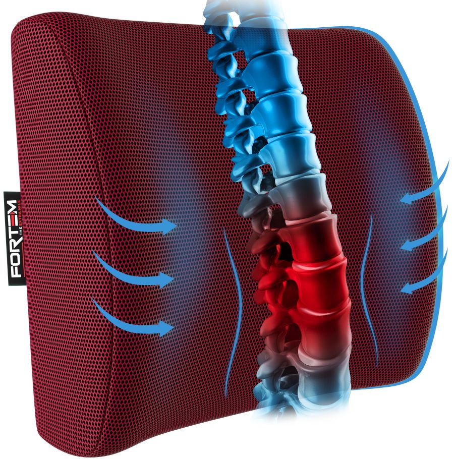 Lumbar Support - Breathable Mesh Cover