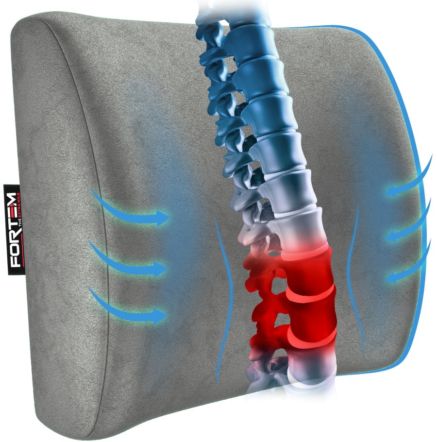 Lumbar Support - Breathable Mesh Cover